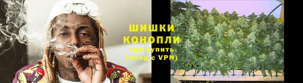 метадон Алексин