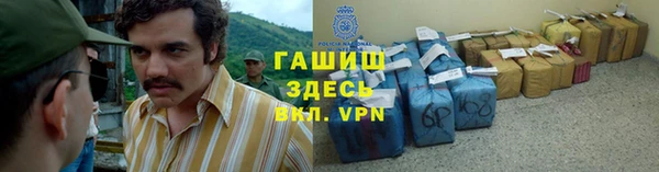 метадон Алексин