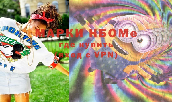 метадон Алексин